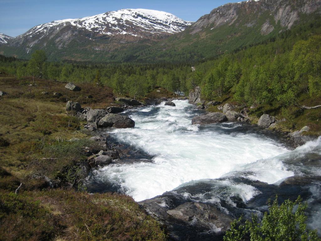 Hov Hyttegrend Viksdalen Ngoại thất bức ảnh