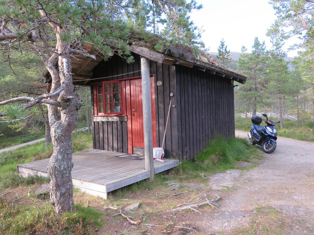 Hov Hyttegrend Viksdalen Ngoại thất bức ảnh
